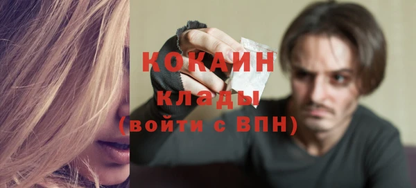 тгк Алзамай