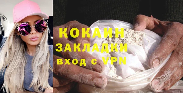 тгк Алзамай