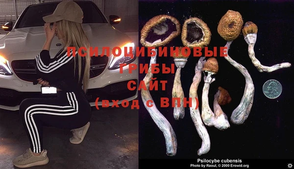 тгк Алзамай