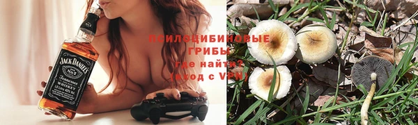 тгк Алзамай